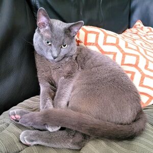 Meet your Posher, Em